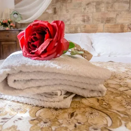 Case&colline Anita Holiday home Montescudaio